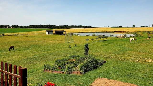 Фермерские дома Agro Nad Stawem Жуково-28